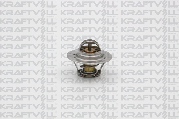 Thermostat, coolant (08110068)