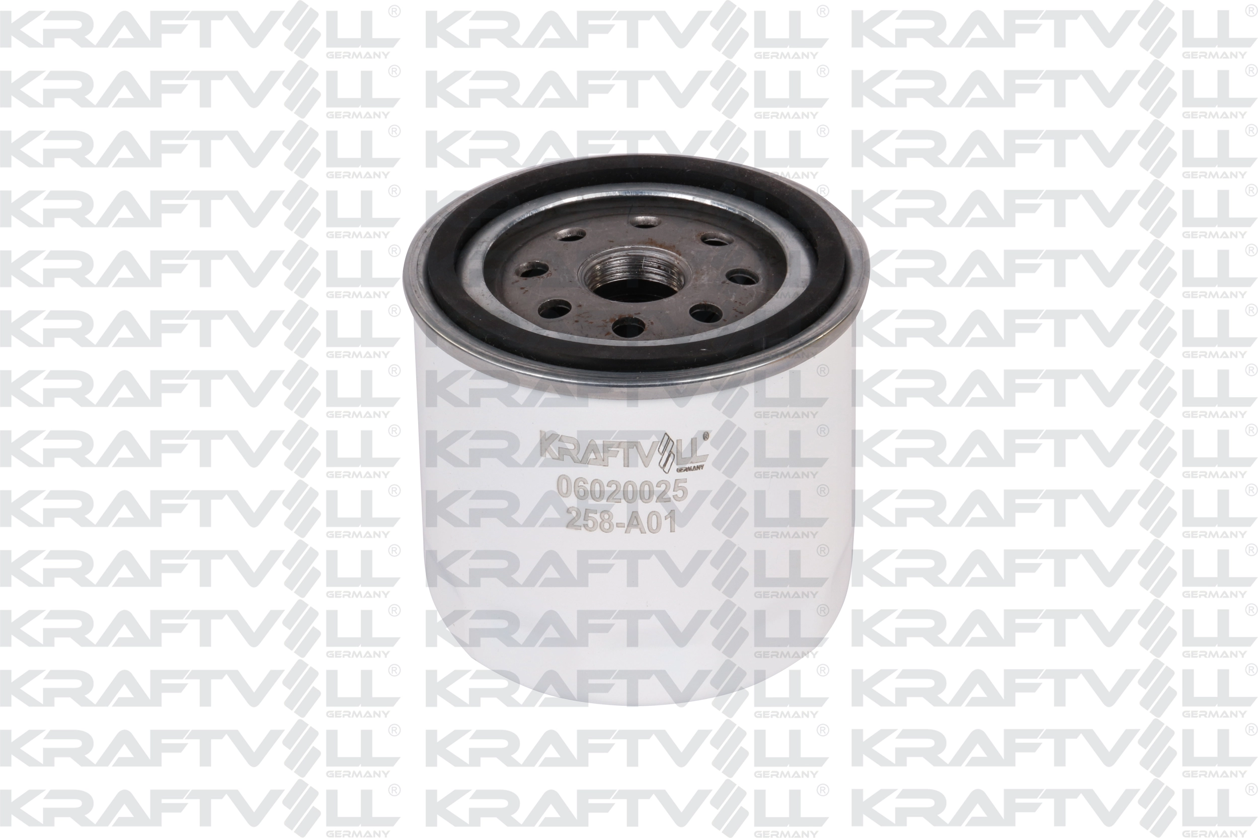 Oil Filter (06020025)