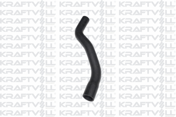 Radiator Hose (10031538)