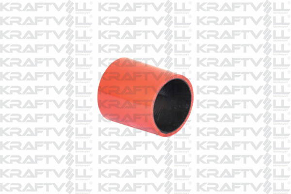 Charge Air Hose (10032313)