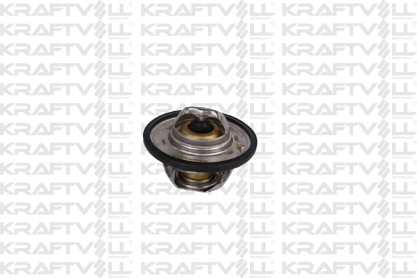 Thermostat, coolant (08100030)