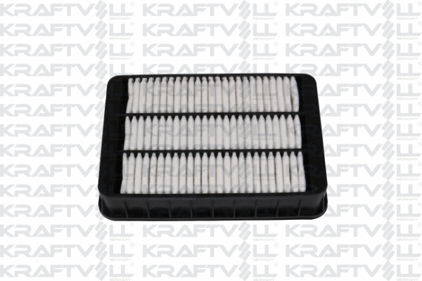 Air Filter (06010230)