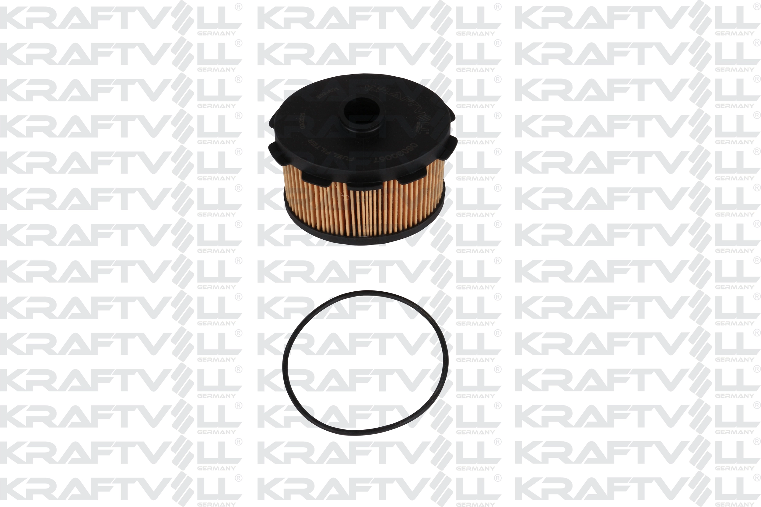Fuel Filter (06030057)