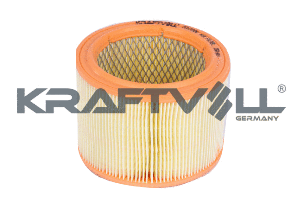 Air Filter (06010060)