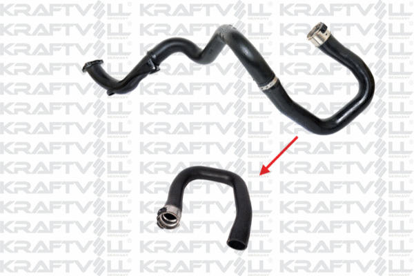 Charge Air Hose (10031488)