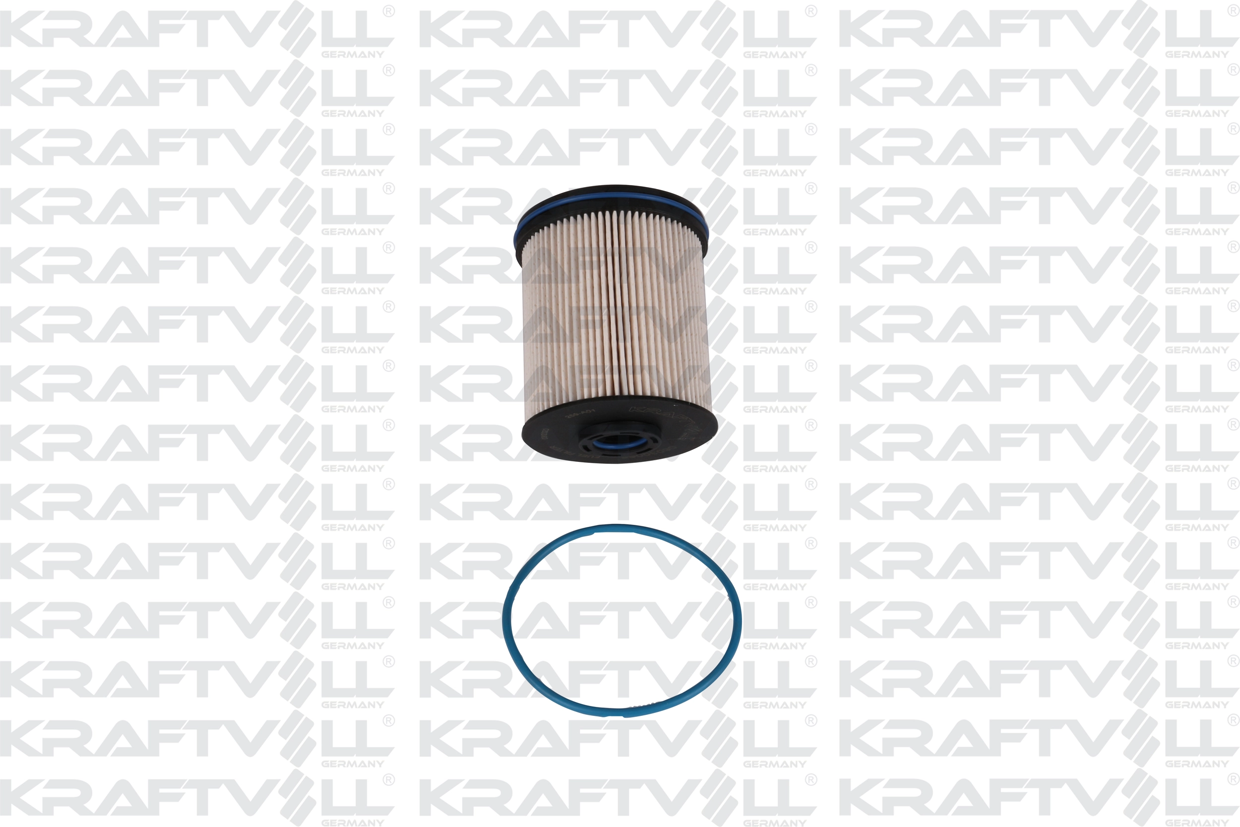Fuel Filter (06030066)
