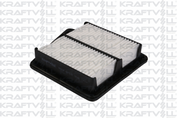 Air Filter (06010234)