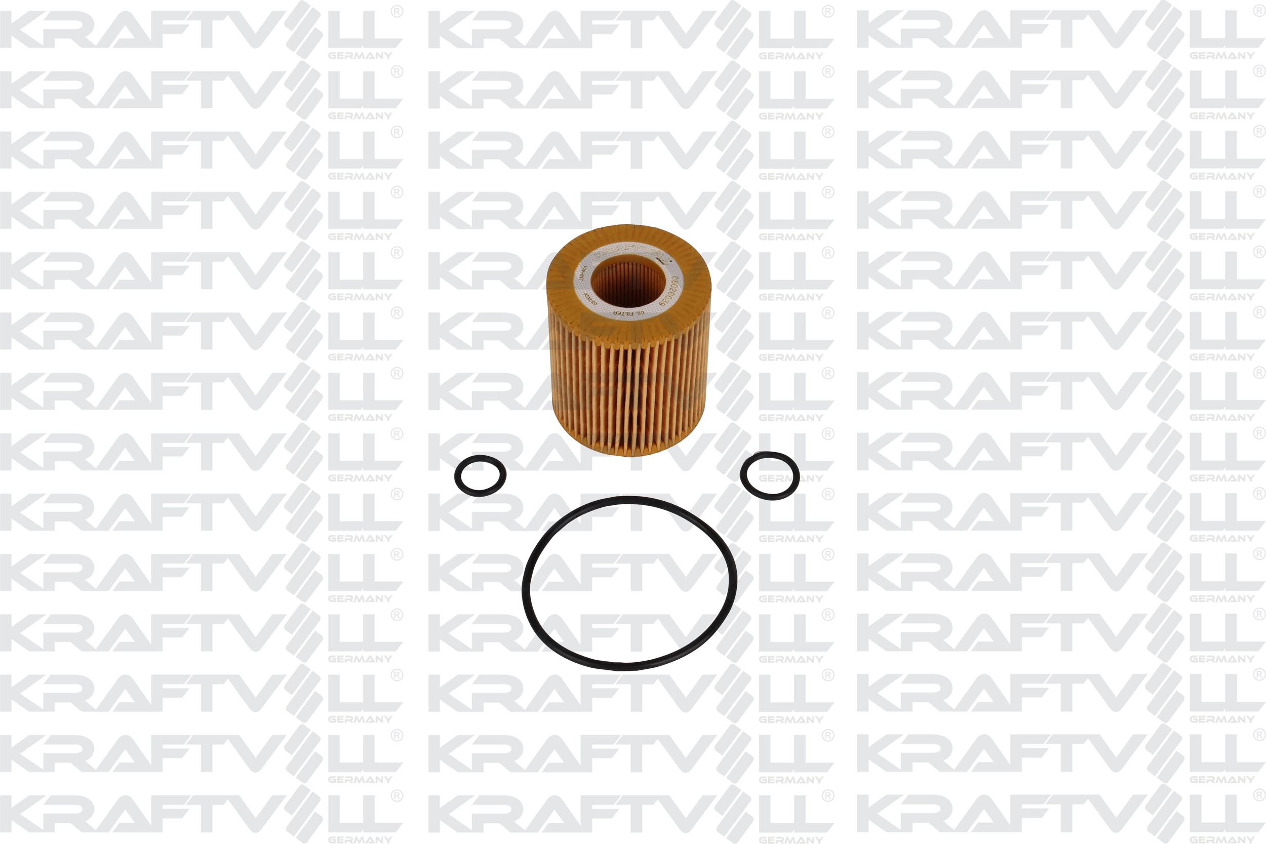 Oil Filter (06020039)