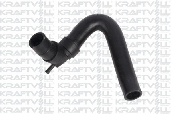 Radiator Hose (10031348)