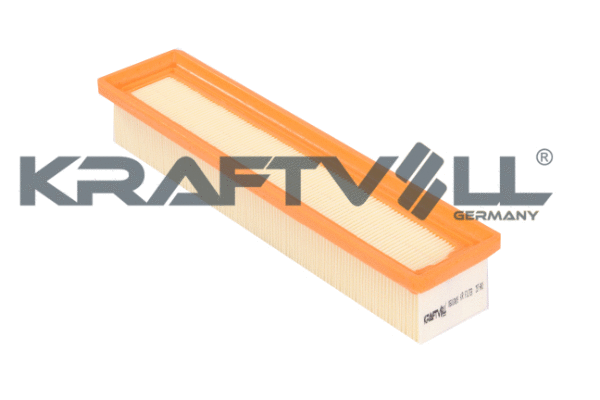 Air Filter (06010009)
