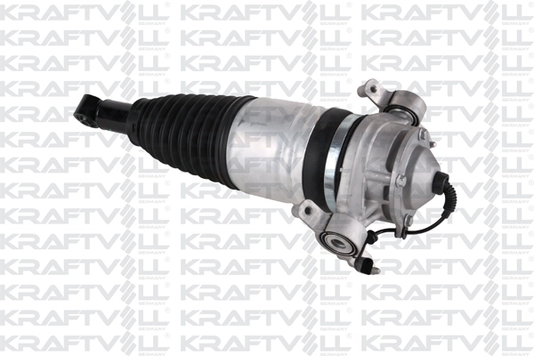 Air Suspension Strut (15060017)