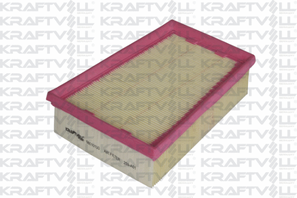 Air Filter (06010130)