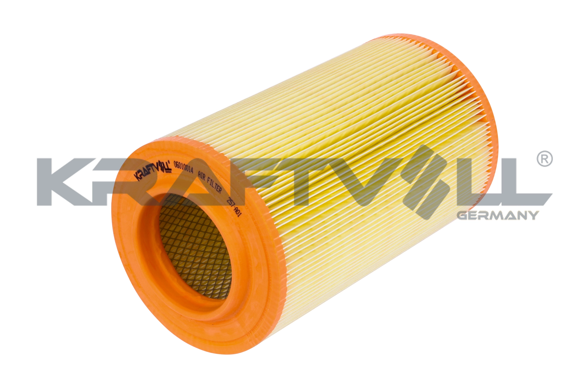 Air Filter (06010014)