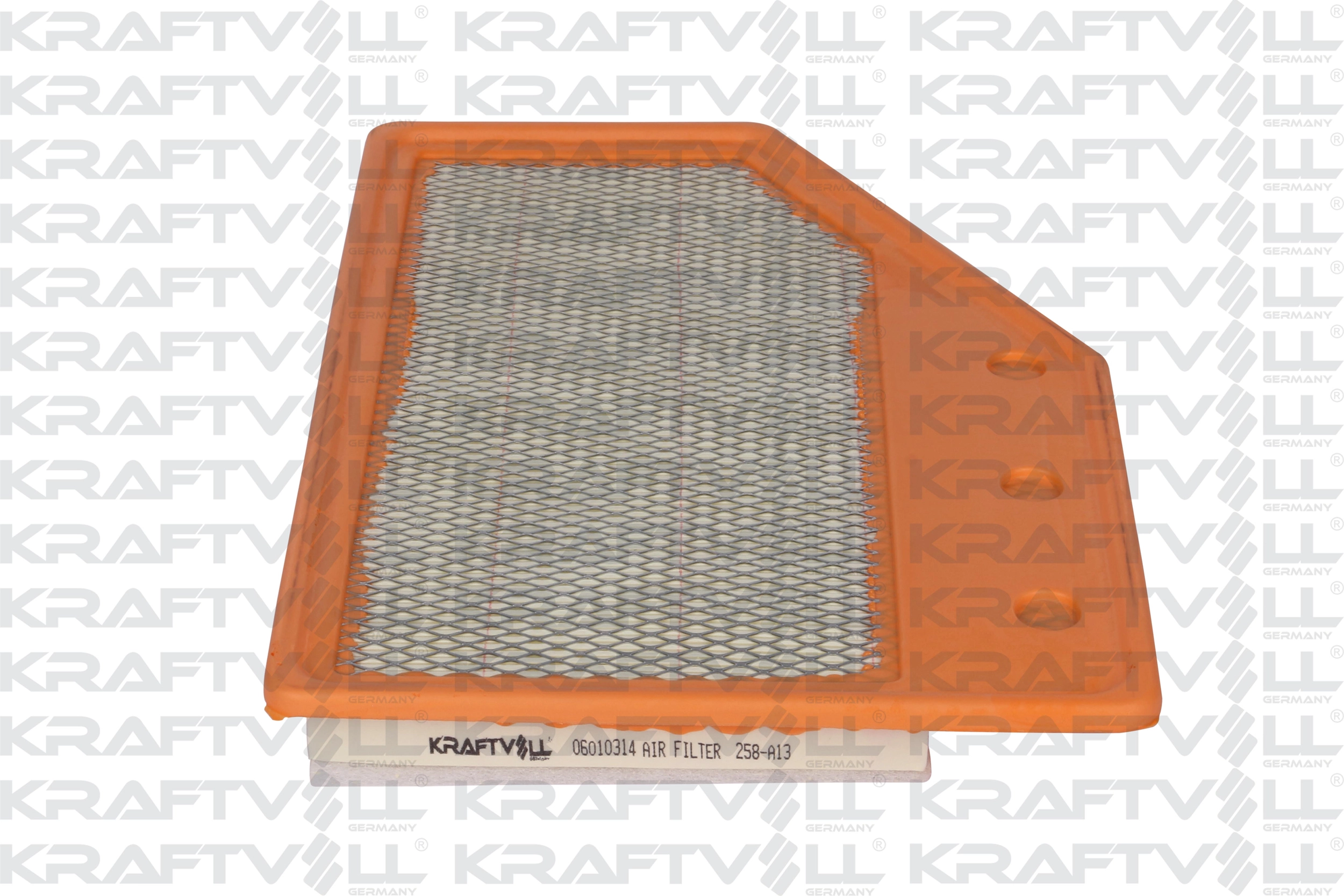 Air Filter (06010314)