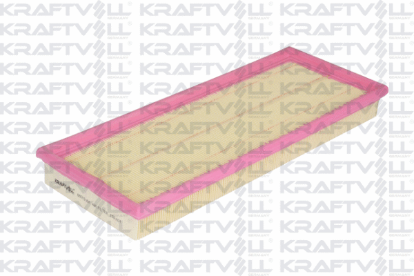 Air Filter (06010184)