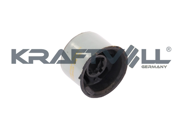 Mounting, control/trailing arm (10050139)