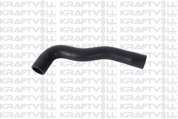 Radiator Hose (10032066)