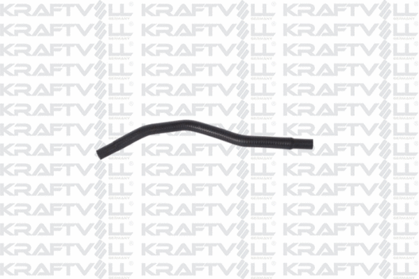 Radiator Hose (10031451)