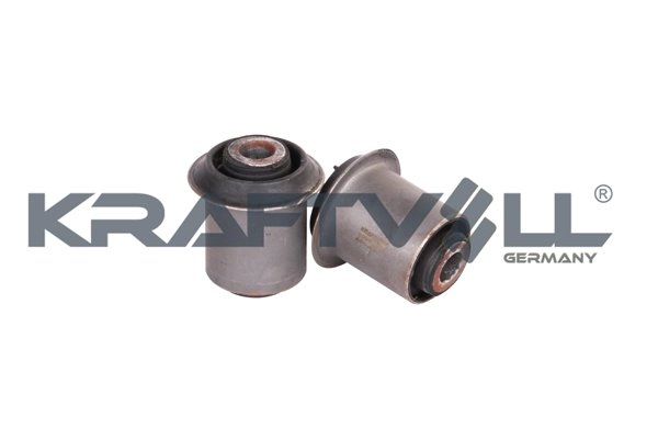 Mounting, control/trailing arm (10050020)