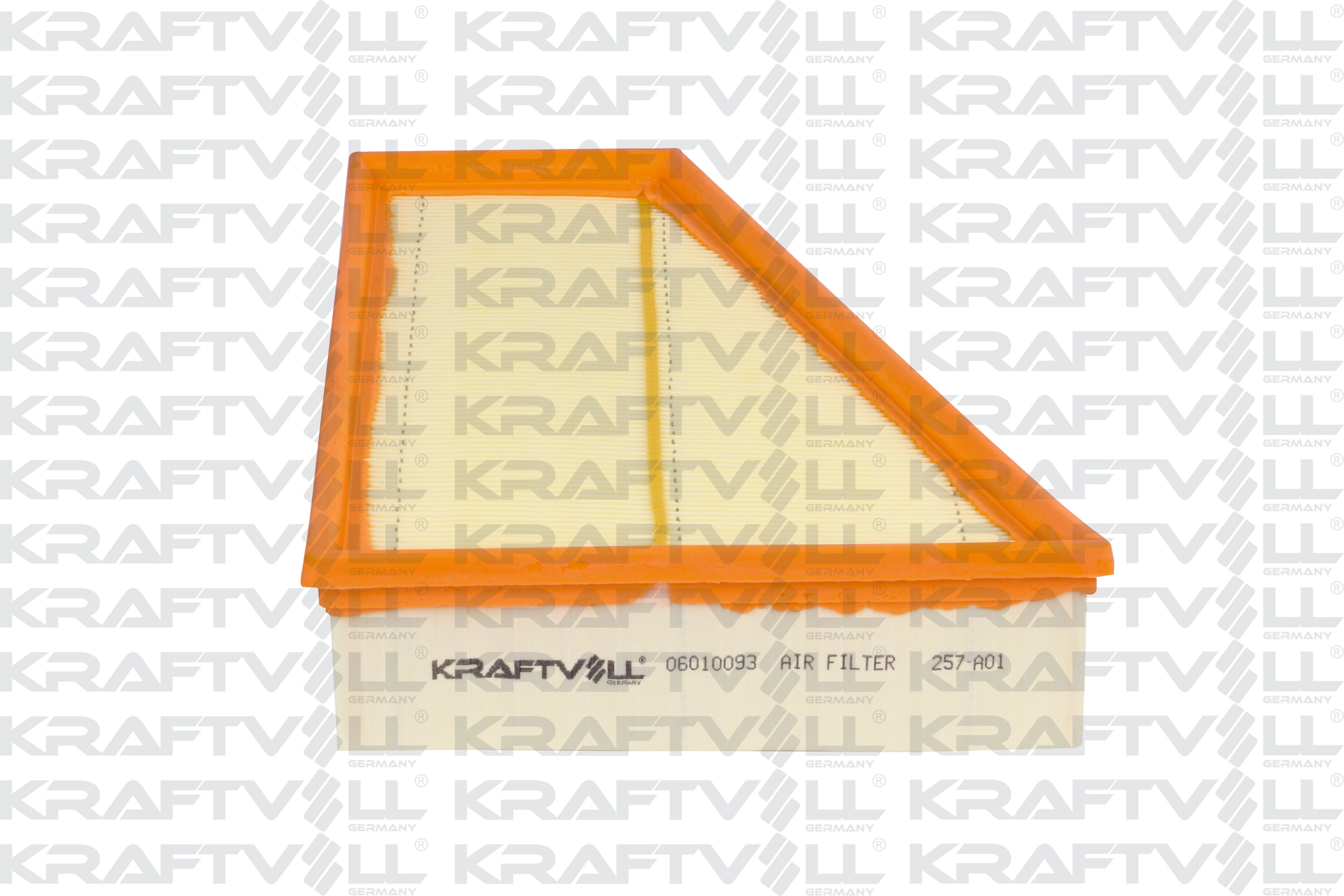 Air Filter (06010093)