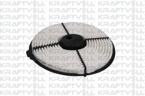 Air Filter (06010246)