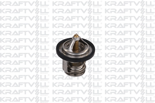 Thermostat, coolant (08100035)