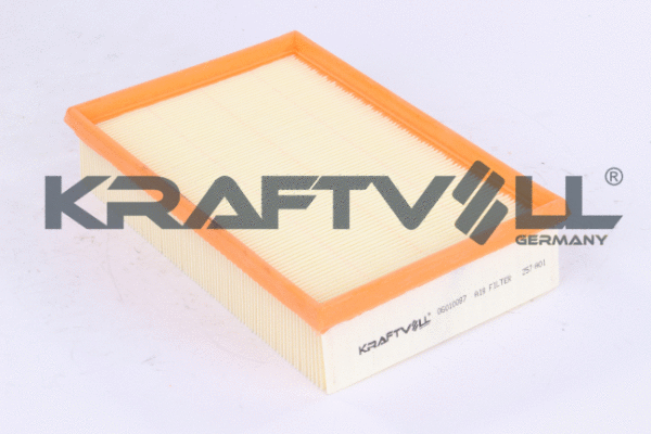 Air Filter (06010087)