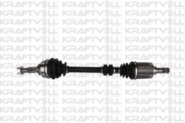 Drive Shaft (01010192)