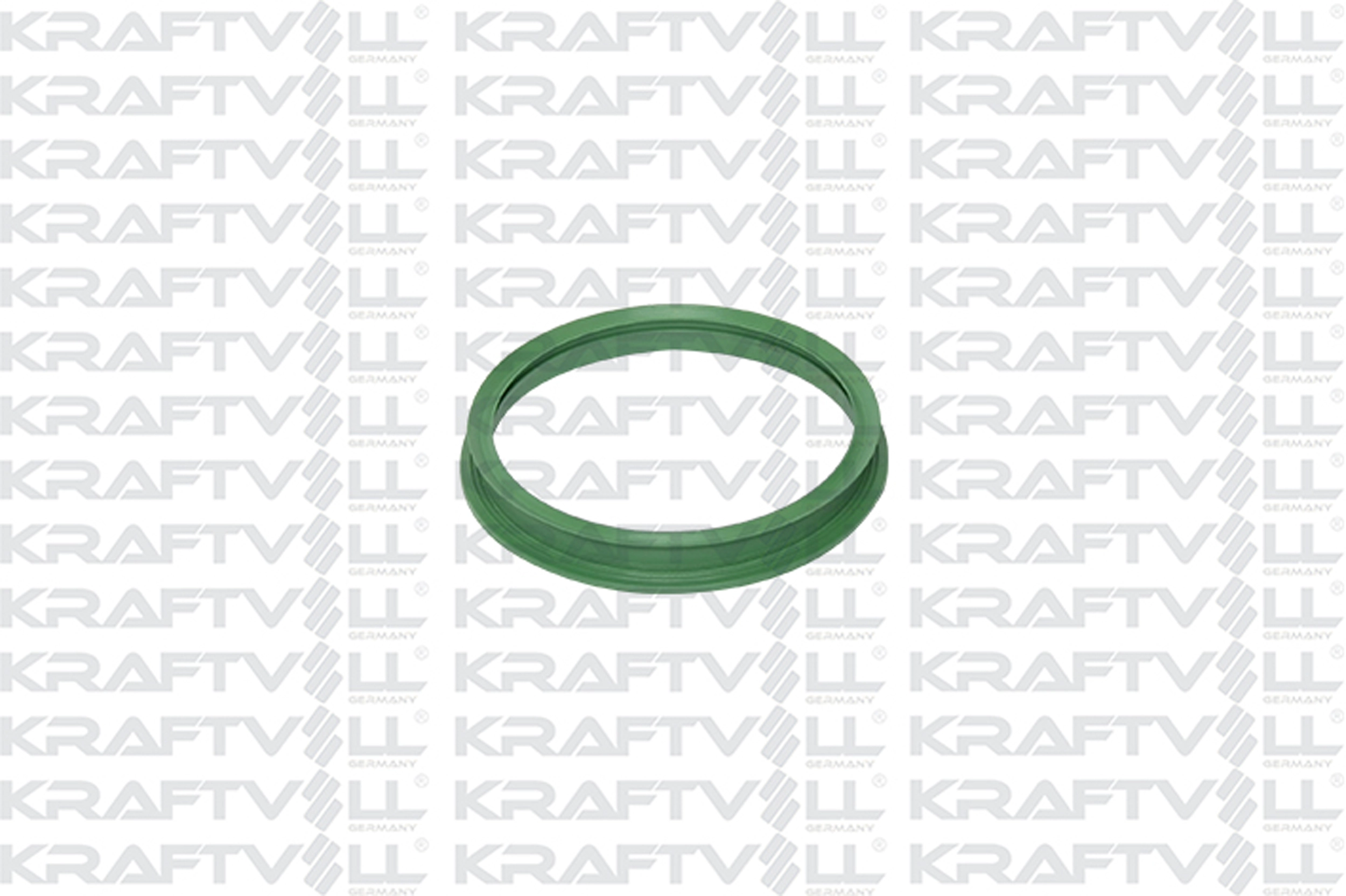 Seal, fuel tank cap (10030590)