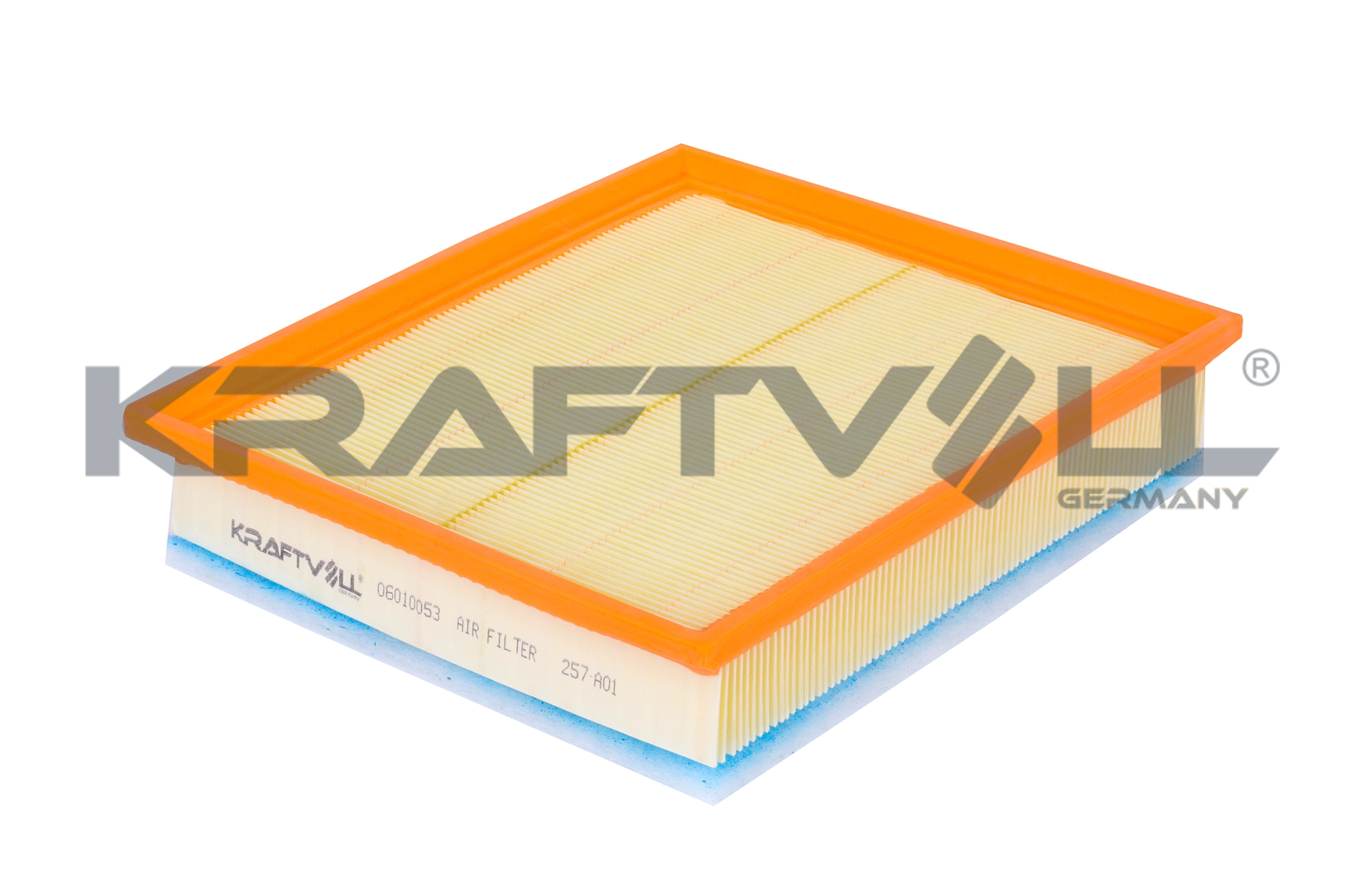 Air Filter (06010053)
