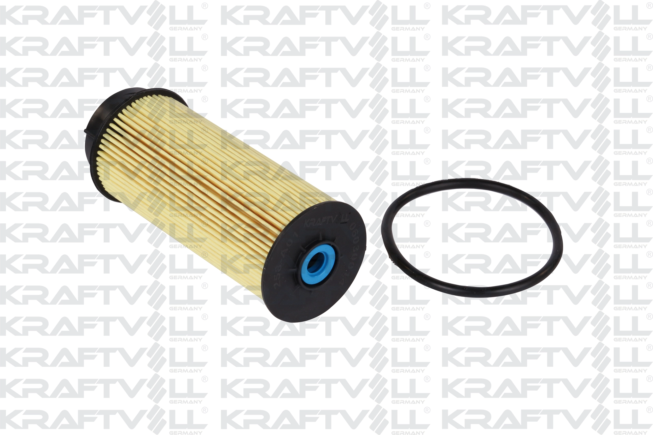 Fuel Filter (06030014)