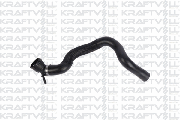 Radiator Hose (10032316)