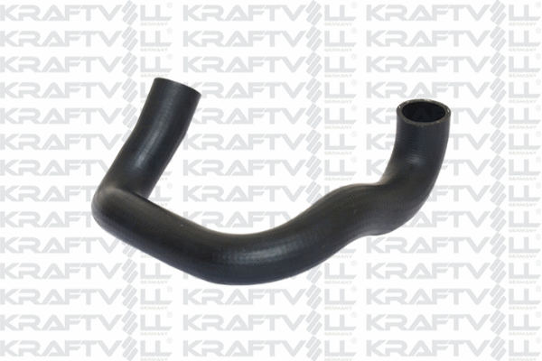 Radiator Hose (10032496)