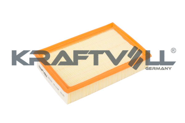 Air Filter (06010100)