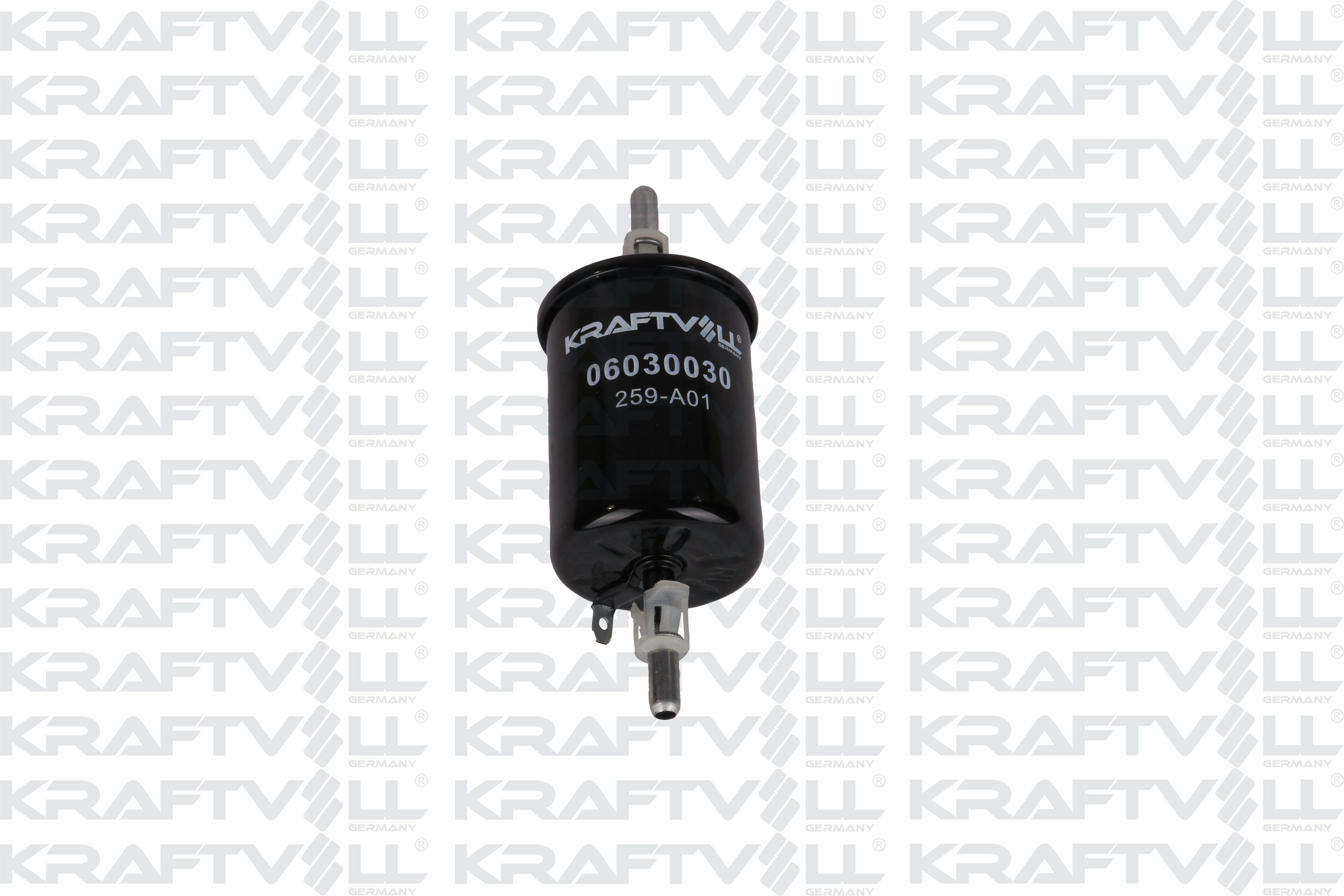 Fuel Filter (06030030)