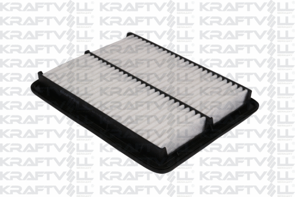 Air Filter (06010146)