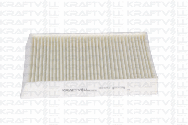 Filter, cabin air (06040153)