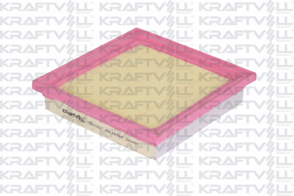 Air Filter (06010221)