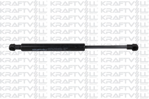Gas Spring, bonnet (09010481)