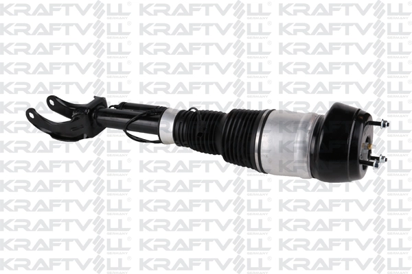 Air Suspension Strut (15060038)