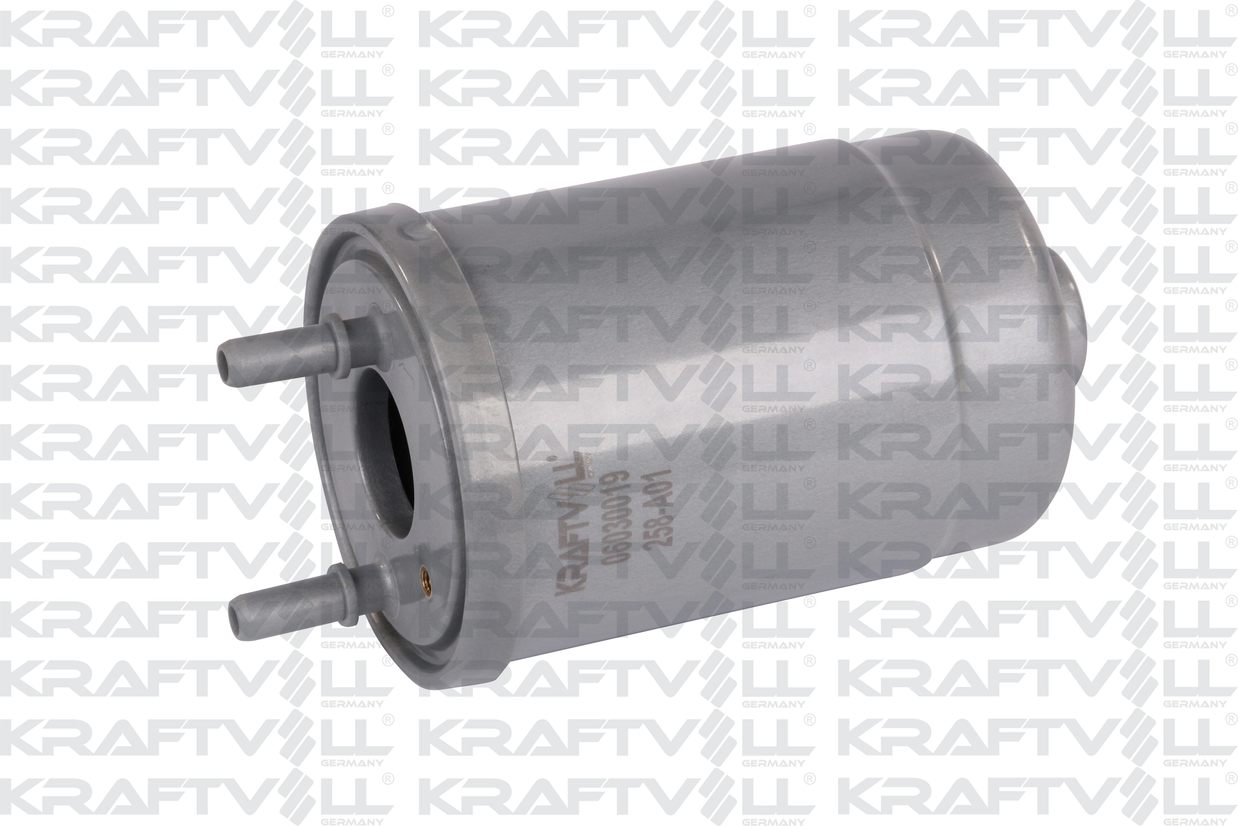 Fuel Filter (06030019)