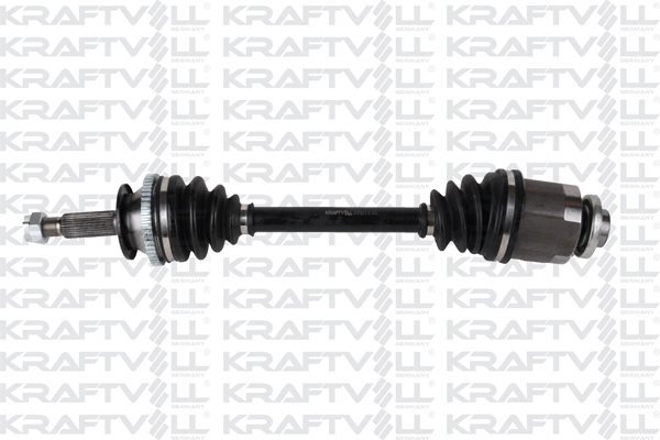 Drive Shaft (01010374)