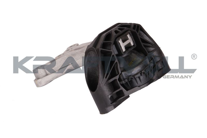 Mounting, engine (10010543)