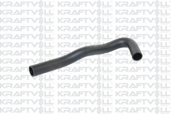 Radiator Hose (10031374)