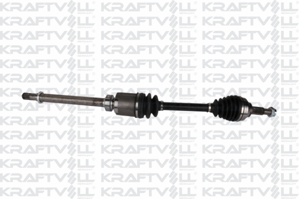 Drive Shaft (01010174)