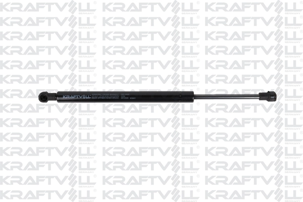 Gas Spring, boot/cargo area (09010506)