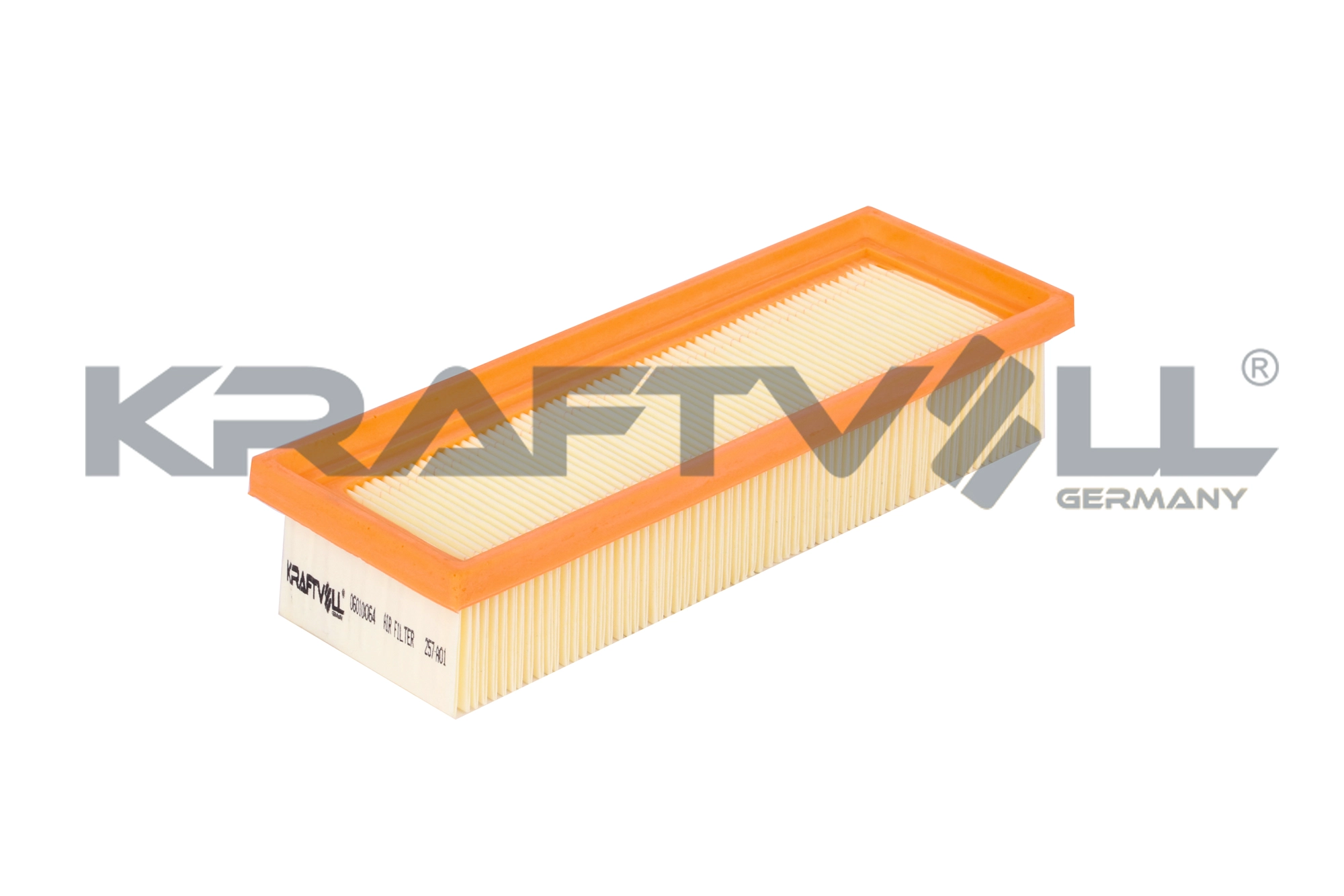 Air Filter (06010064)