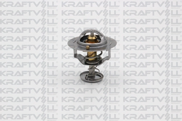 Thermostat, coolant (08110088)