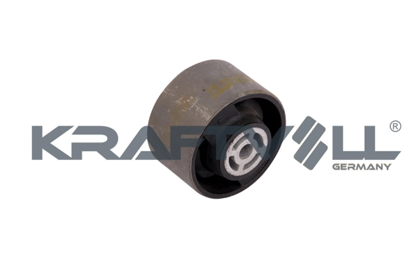 Mounting, engine (10050161)