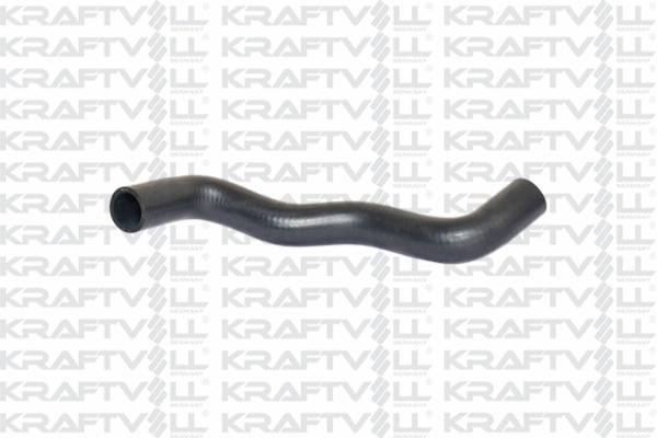 Radiator Hose (10031702)